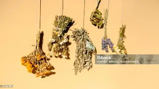 告别盲按！按摩老司机私藏：工具加持，解锁你不知道的全身舒爽技巧！ poster