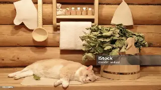 告别酸痛！居家自我按摩，随时随地舒展你的筋骨